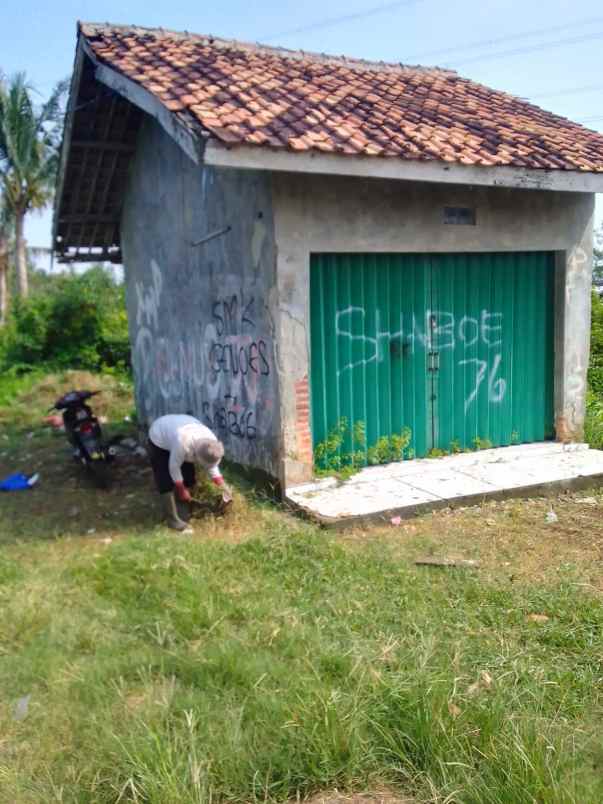 dijual tanah pabuaran