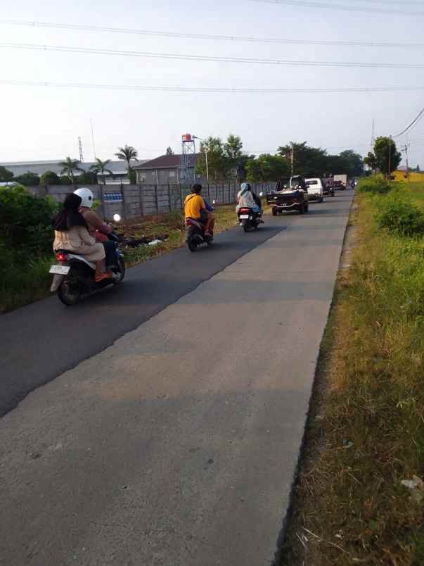 dijual tanah pabuaran