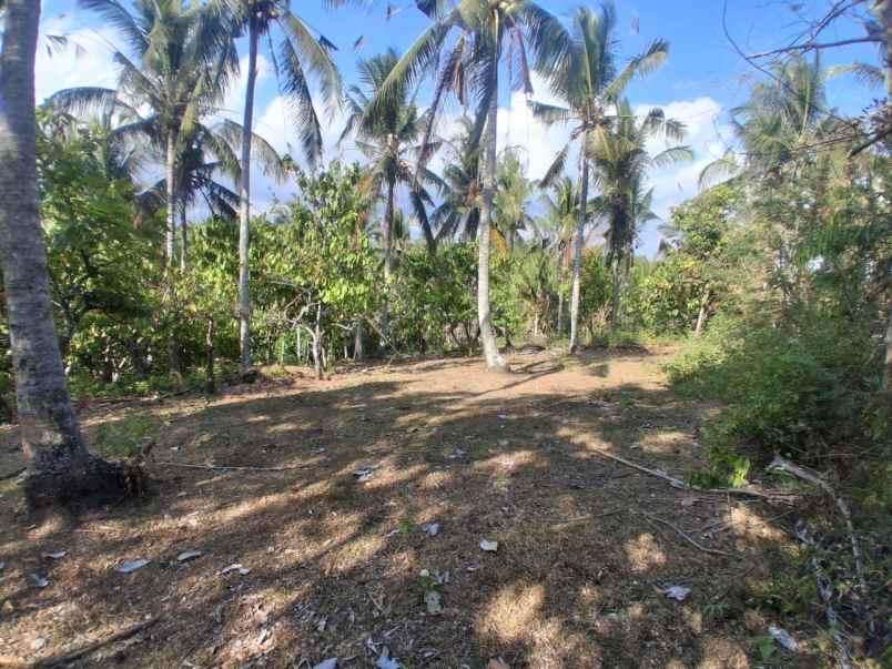 dijual tanah pantai balian selemadeg