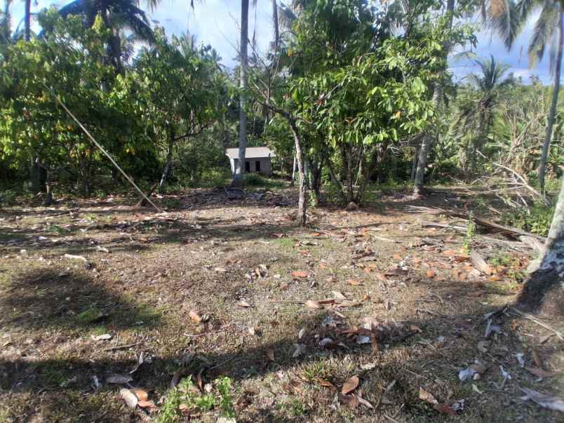 dijual tanah pantai balian selemadeg