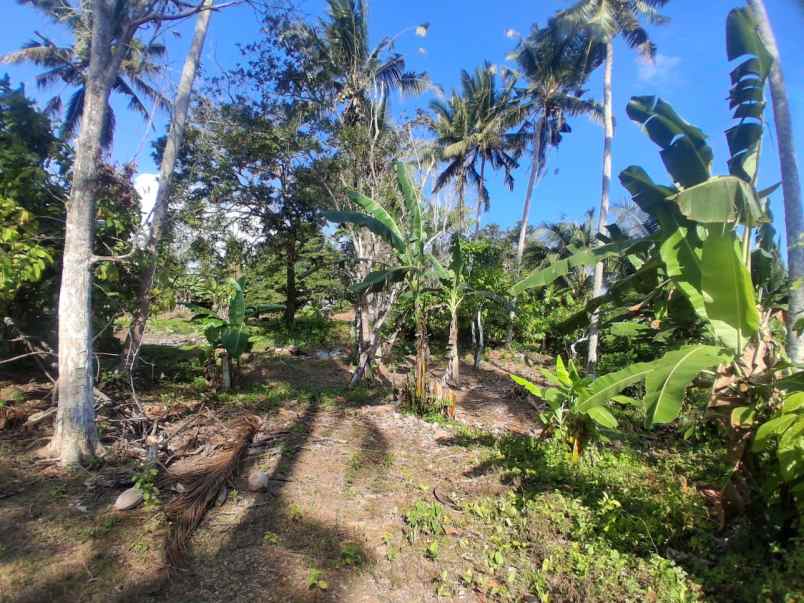 dijual tanah pantai balian selemadeg
