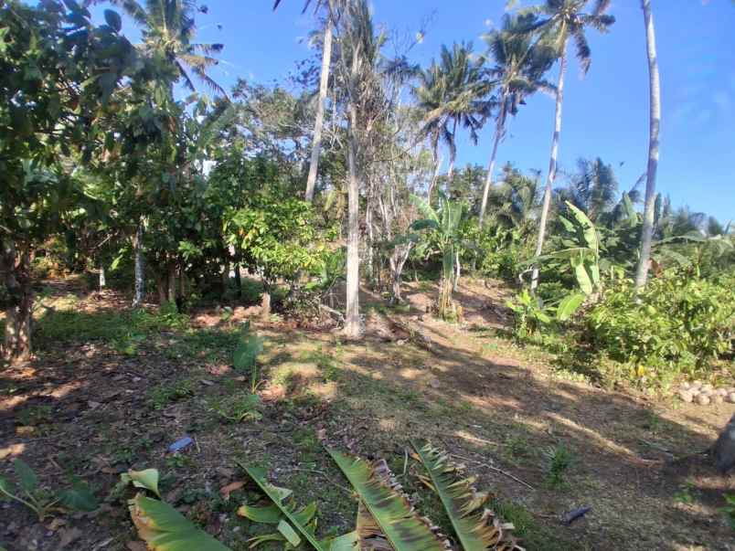 dijual tanah pantai balian selemadeg