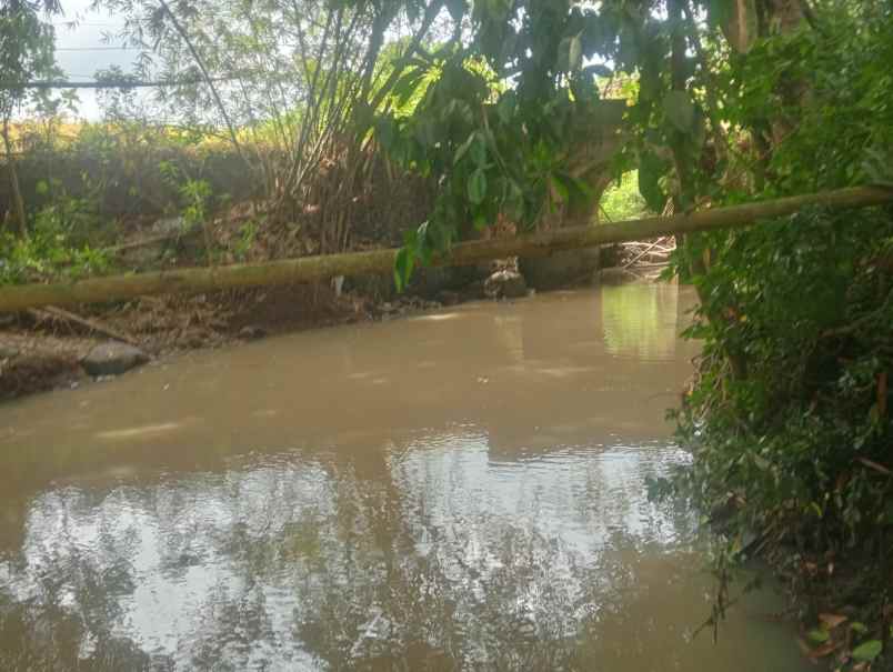 dijual tanah pantai beraban selemadeg
