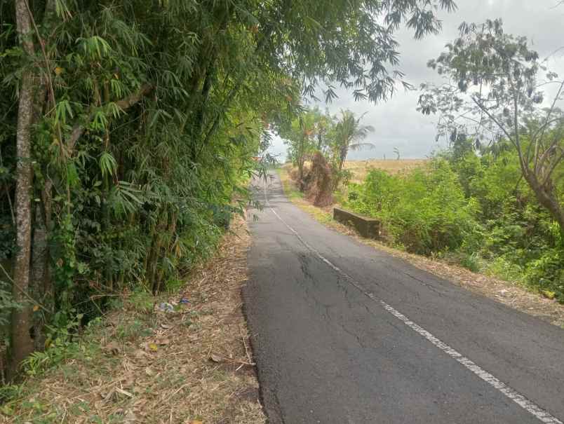 dijual tanah pantai beraban selemadeg