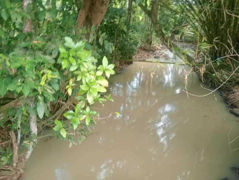 dijual tanah pantai beraban selemadeg