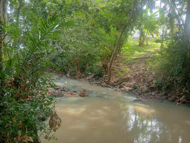 dijual tanah pantai beraban selemadeg