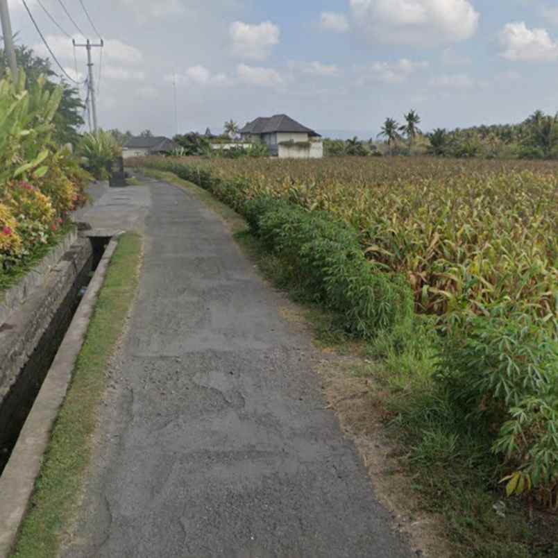dijual tanah pantai pasut