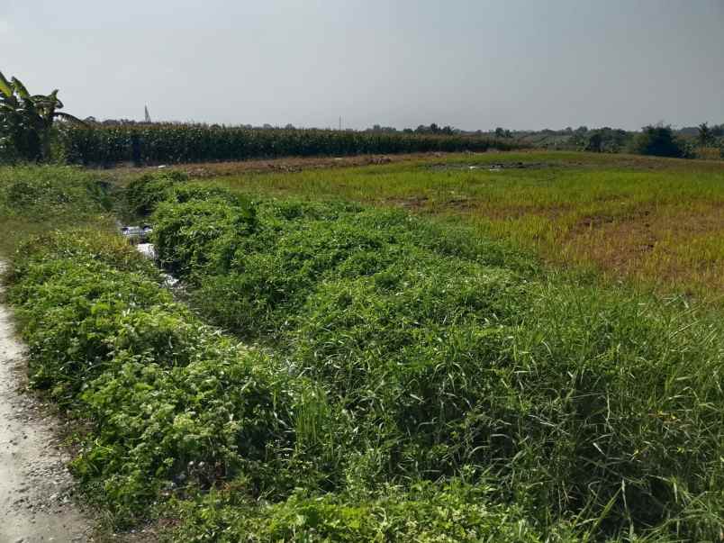 dijual tanah pasut tabanan