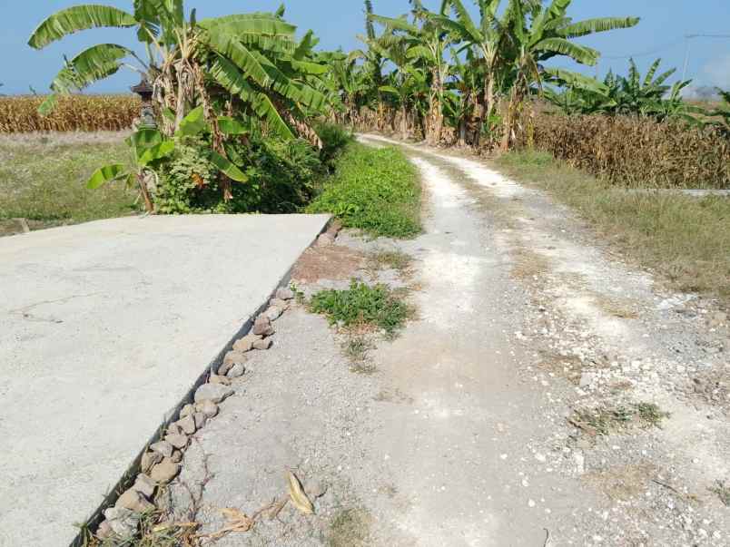 dijual tanah pasut tabanan
