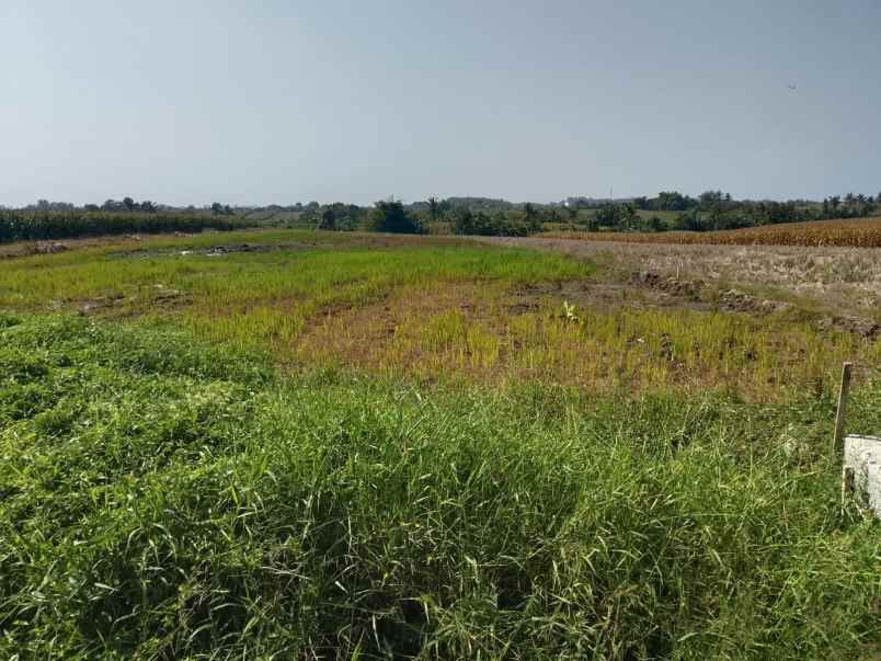 dijual tanah pasut tabanan
