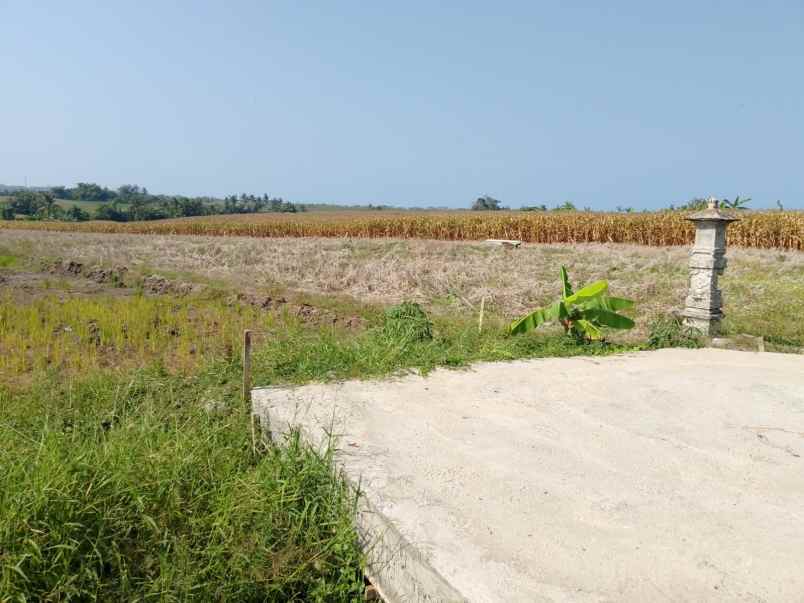 dijual tanah pasut tabanan