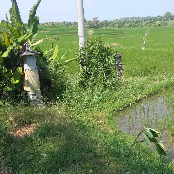 dijual tanah penyaringan