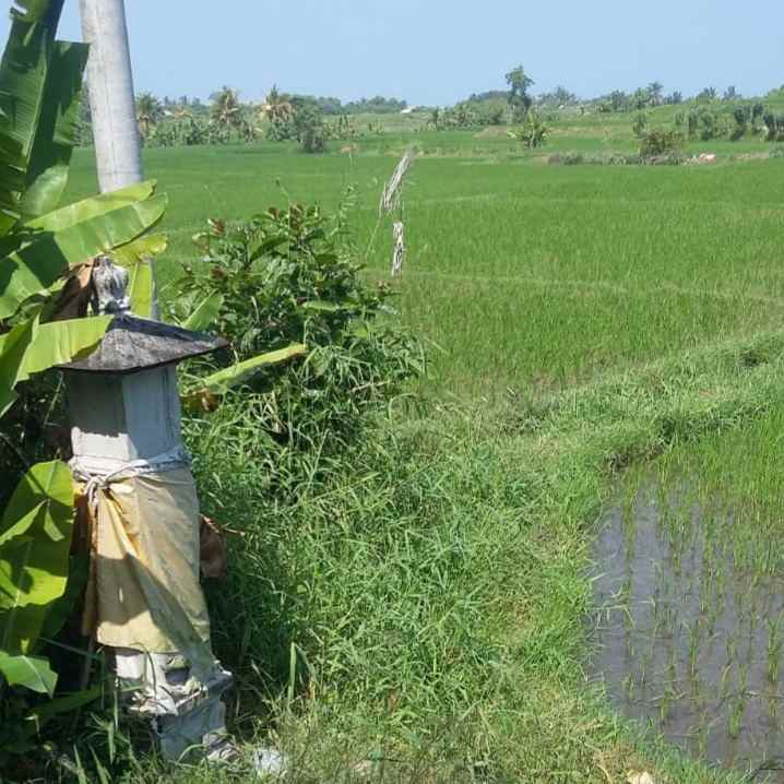 dijual tanah penyaringan