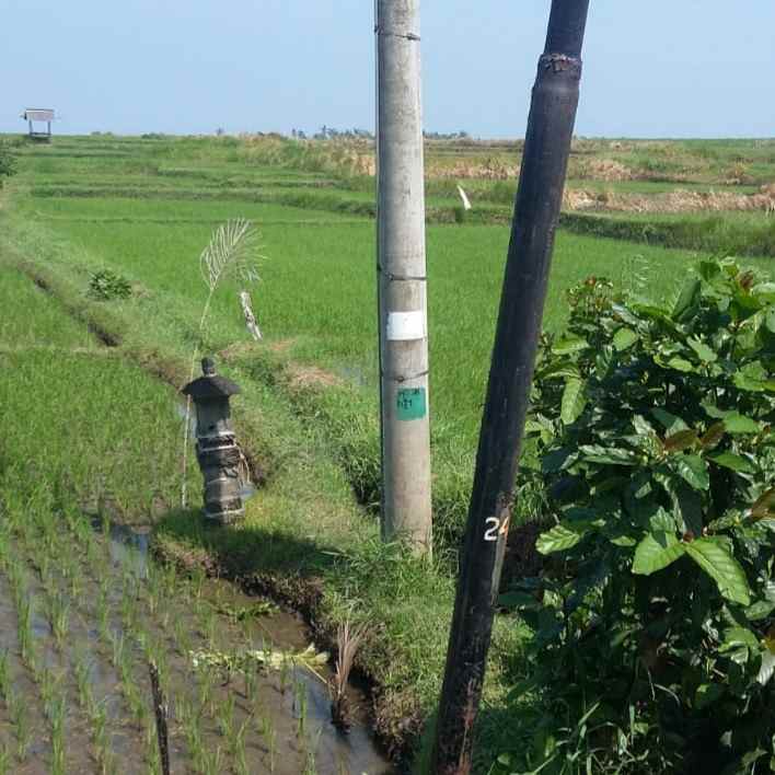 dijual tanah penyaringan