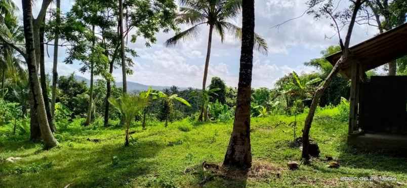 dijual tanah perkebunan view perbukitan di antosari
