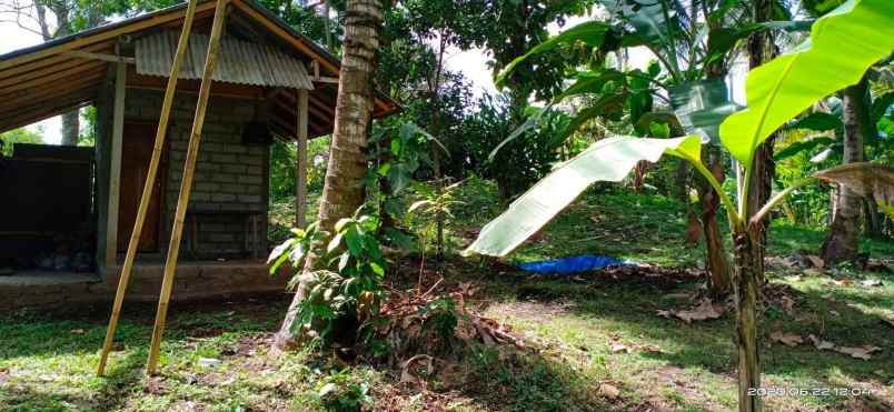 dijual tanah perkebunan view perbukitan di antosari