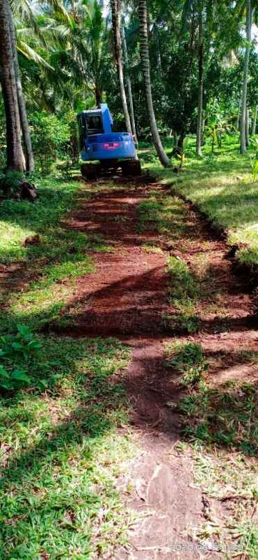 dijual tanah perkebunan view perbukitan di antosari