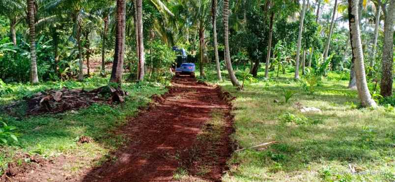 dijual tanah perkebunan view perbukitan di antosari