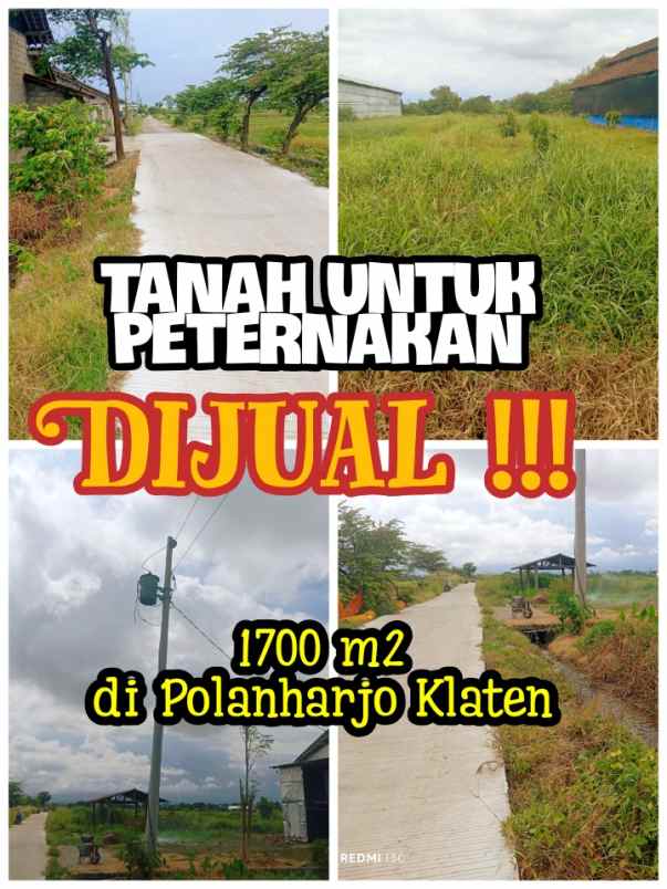 dijual tanah peternakan 1700m2 polanharjo klaten 350jt