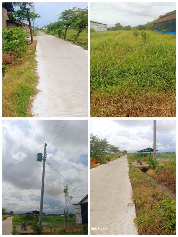 dijual tanah peternakan 1700m2 polanharjo klaten 350jt