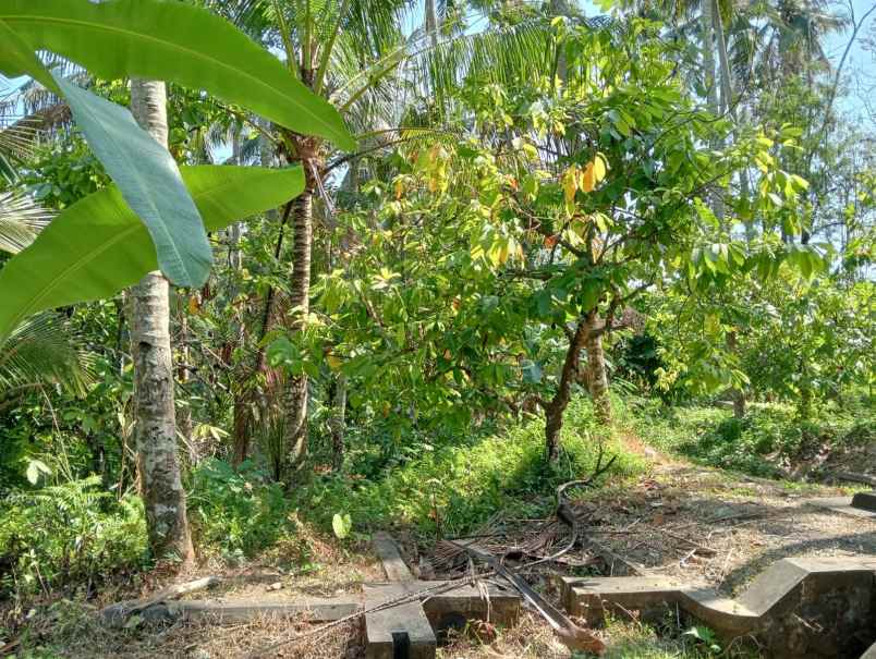 dijual tanah pinggir jalan hotmix dekat pantai balian