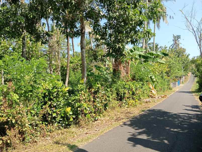 dijual tanah pinggir jalan hotmix dekat pantai balian