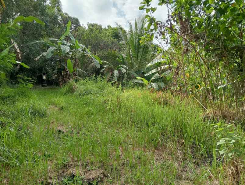 dijual tanah pinggir jalan nasional