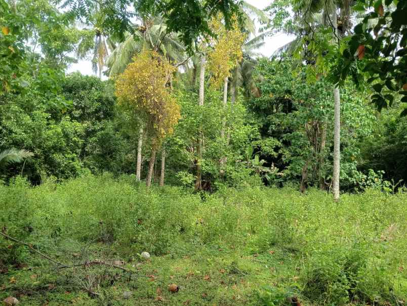 dijual tanah pinggir jalan nasional