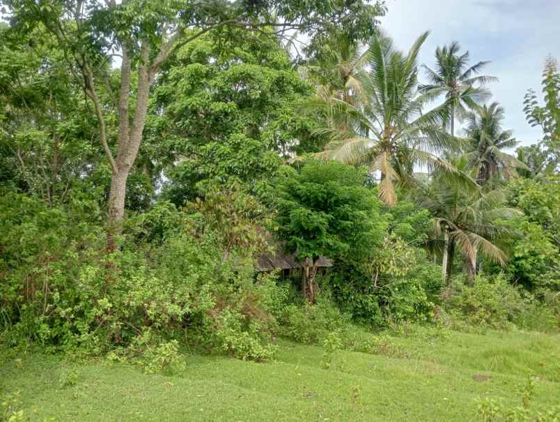 dijual tanah pinggir jalan nasional