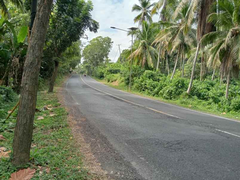 dijual tanah pinggir jalan nasional