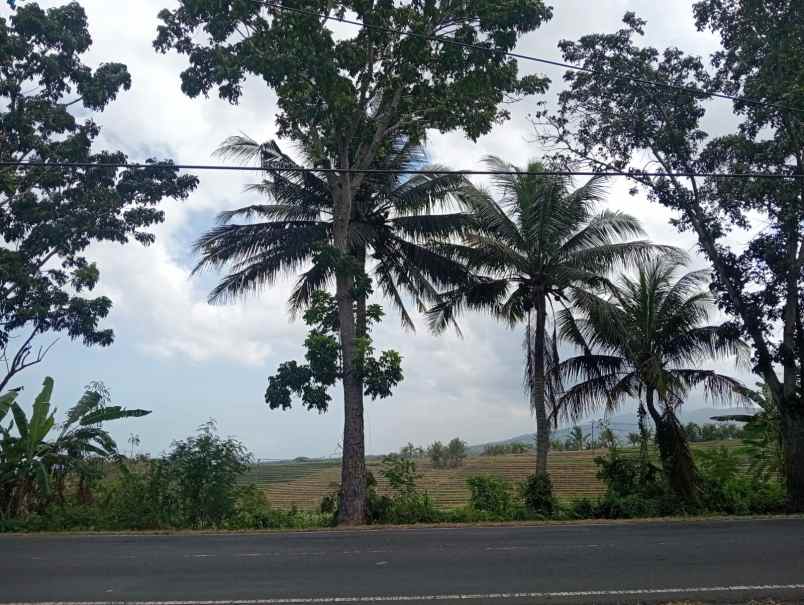 dijual tanah pinggir jalan nasional