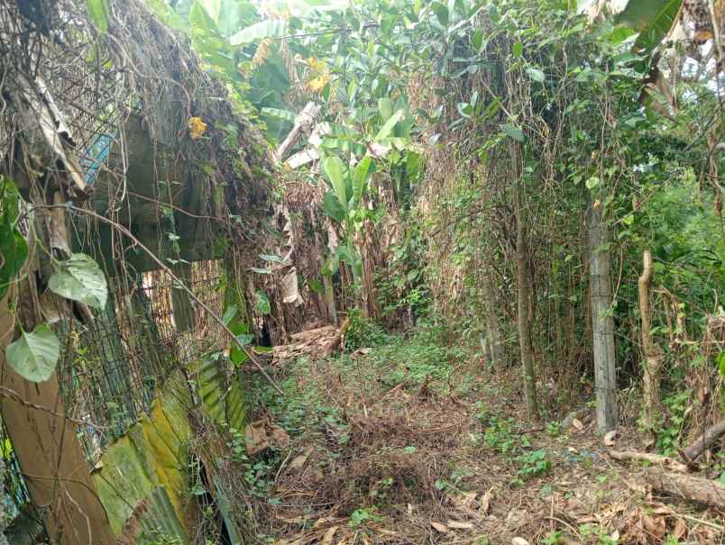 dijual tanah pinggir jalan nasional