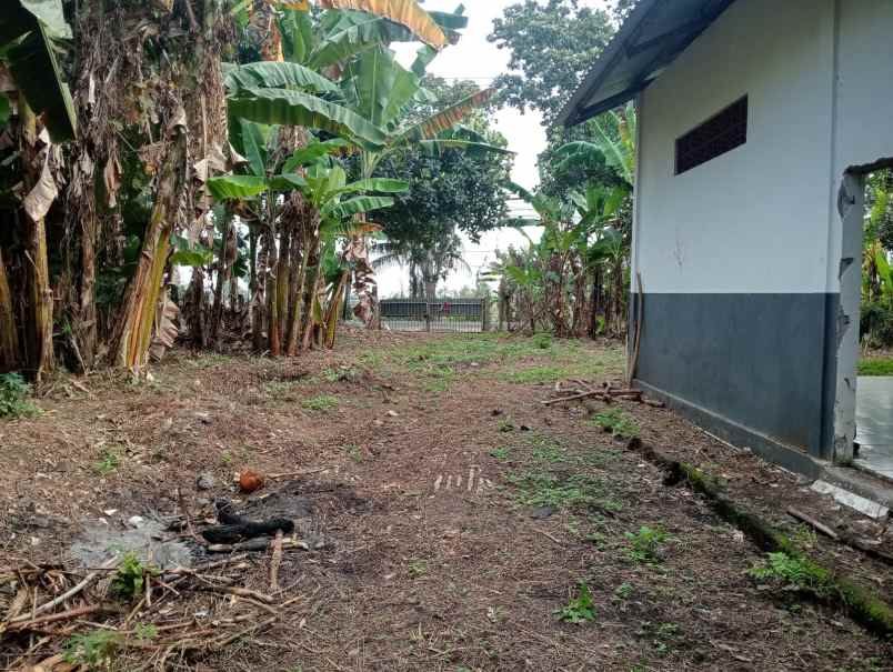 dijual tanah pinggir jalan nasional