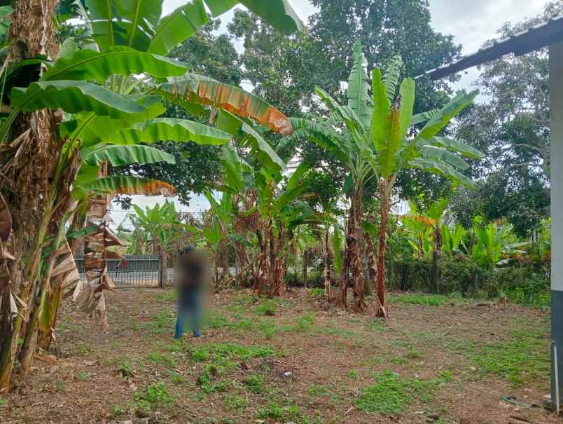 dijual tanah pinggir jalan nasional