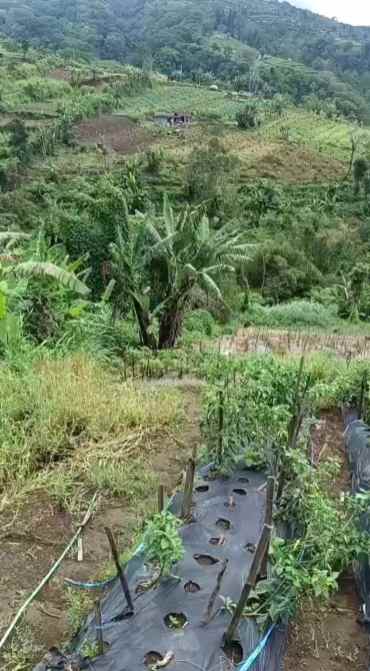 dijual tanah pinggir jalan raya