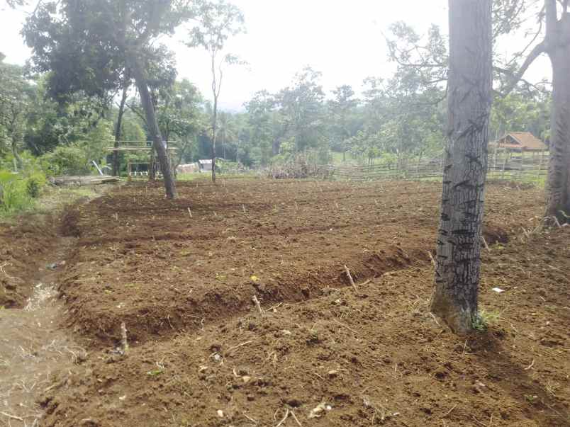 dijual tanah pinggir jalan utama ciparay