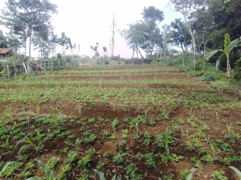 dijual tanah pinggir jalan utama ciparay