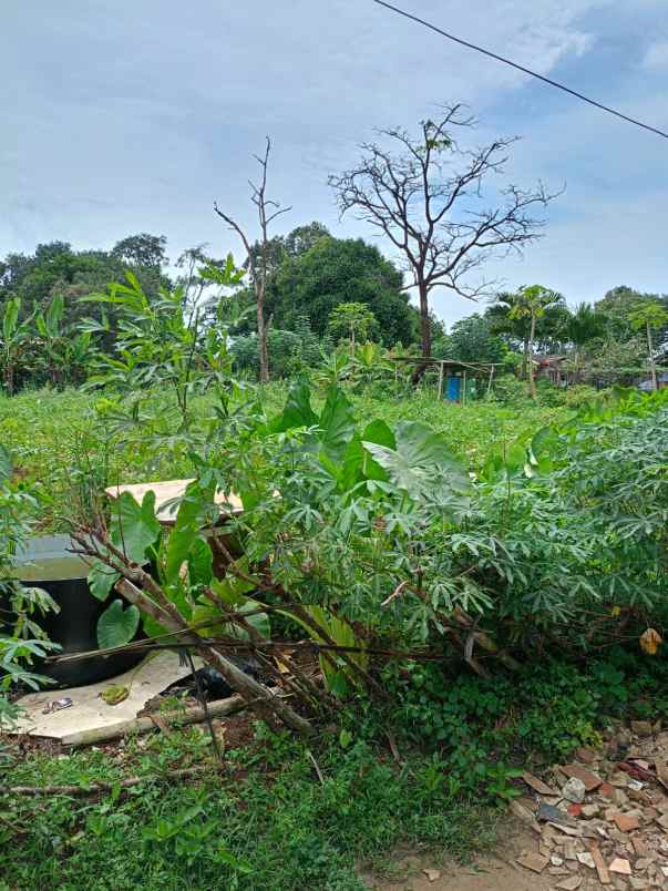 dijual tanah rangkapan jaya