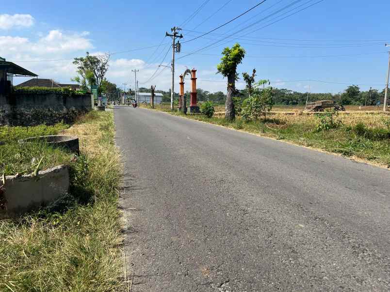 dijual tanah sawah 700m 175jt kerjo karanganyar