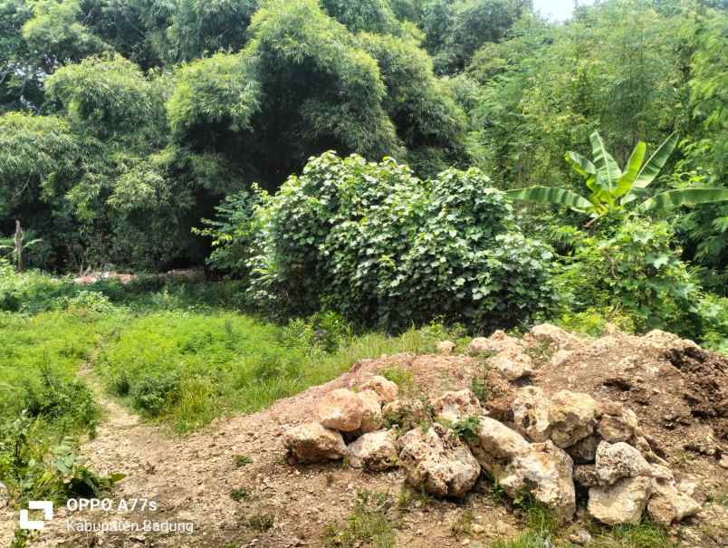 dijual tanah sawangan benoa nusa dua bali