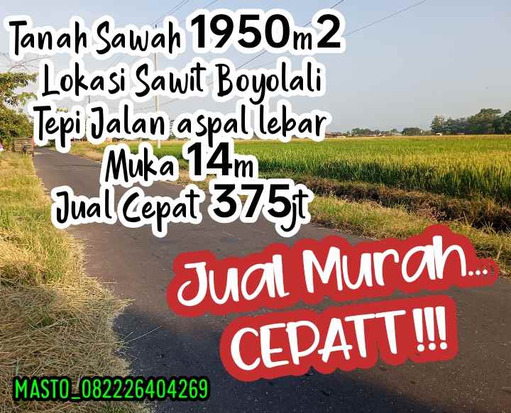 dijual tanah sawit boyolali