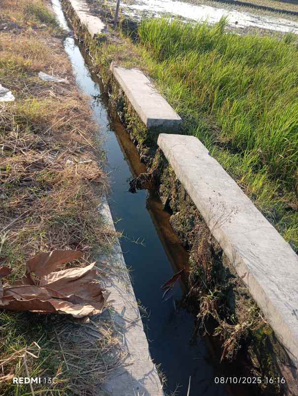 dijual tanah sawit boyolali