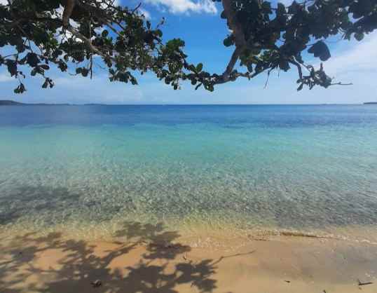 dijual tanah sekotong barat lombok ntb