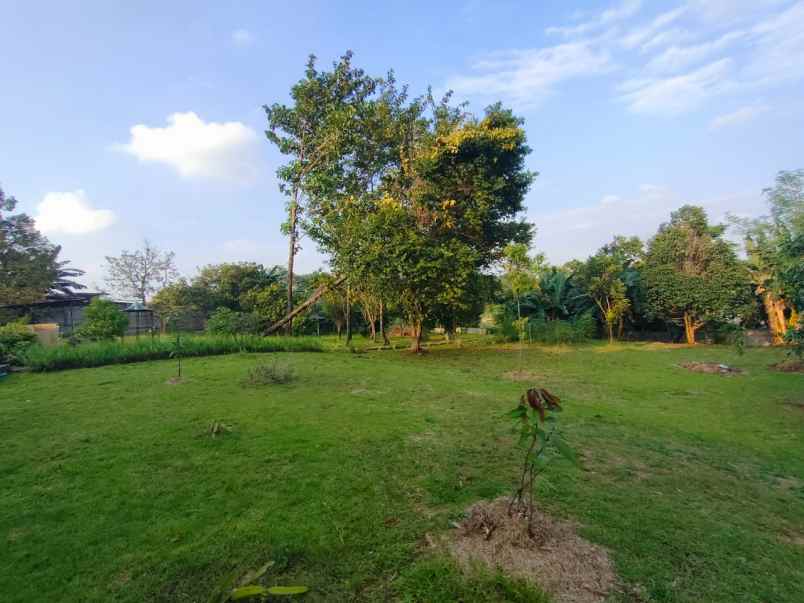 dijual tanah serua indah