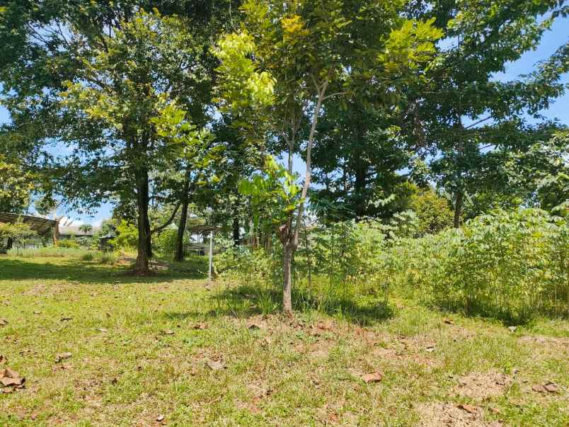 dijual tanah serua indah