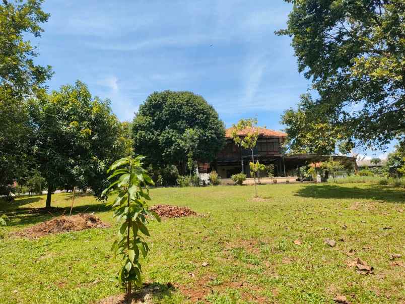 dijual tanah serua indah