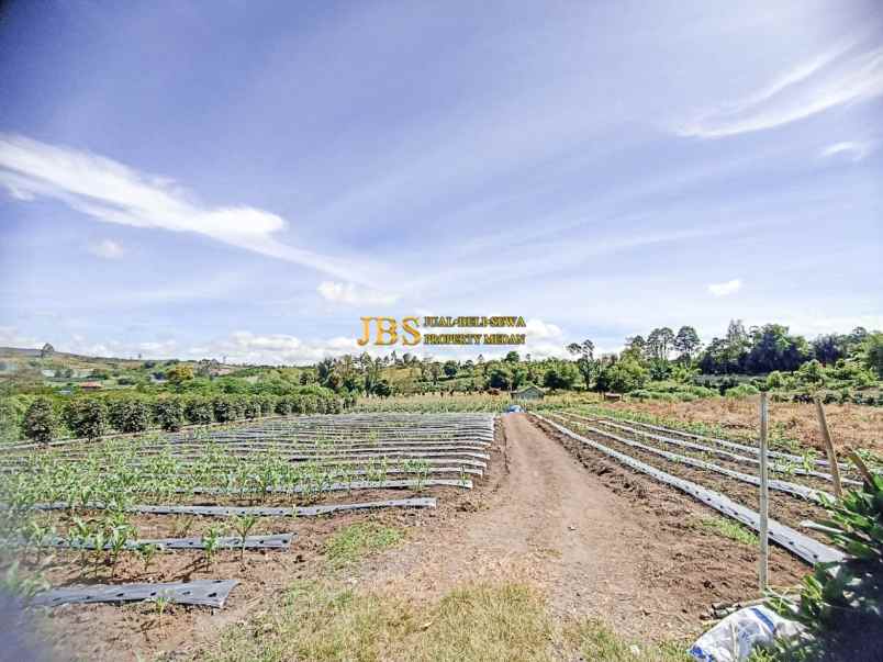 dijual tanah situnggaling daerah