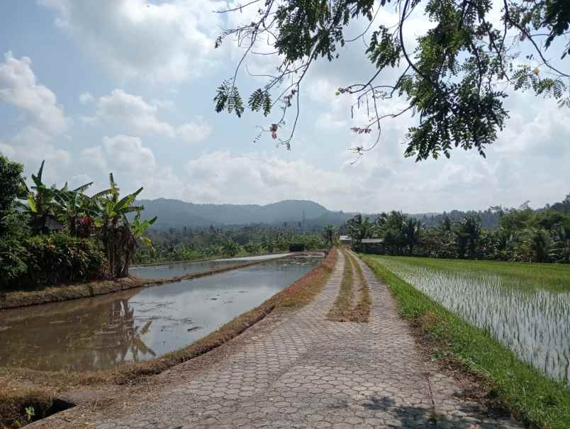 dijual tanah strategis dengan view sawah dan bukit