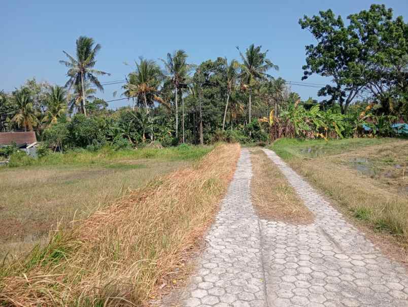 dijual tanah strategis dengan view sawah dan bukit