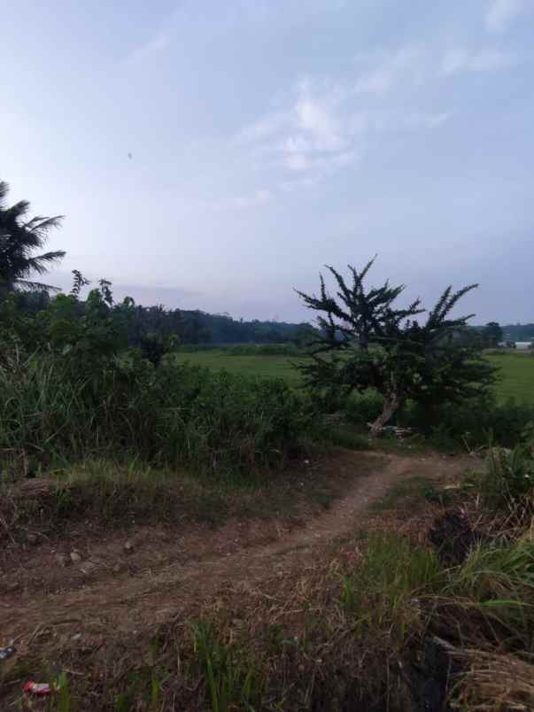 dijual tanah strategis di gunung sari citeureup
